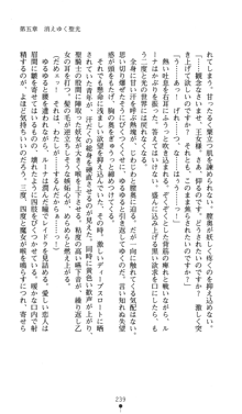 聖龍姫ルーナ 聖なる柔肌に淫魔は群がる, 日本語