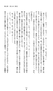 聖龍姫ルーナ 聖なる柔肌に淫魔は群がる, 日本語