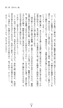 聖龍姫ルーナ 聖なる柔肌に淫魔は群がる, 日本語