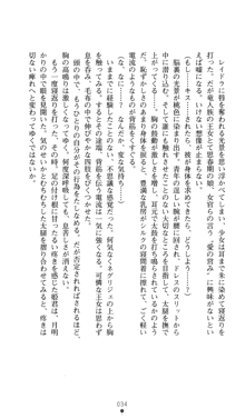 聖龍姫ルーナ 聖なる柔肌に淫魔は群がる, 日本語