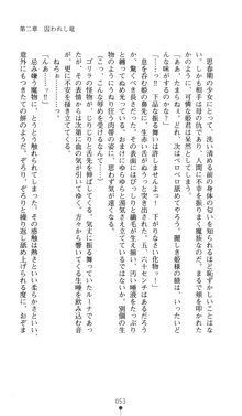 聖龍姫ルーナ 聖なる柔肌に淫魔は群がる, 日本語