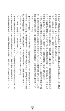 聖龍姫ルーナ 聖なる柔肌に淫魔は群がる, 日本語