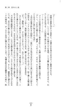 聖龍姫ルーナ 聖なる柔肌に淫魔は群がる, 日本語