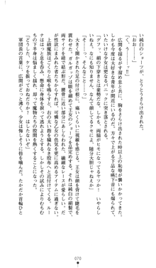 聖龍姫ルーナ 聖なる柔肌に淫魔は群がる, 日本語