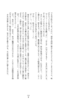 聖龍姫ルーナ 聖なる柔肌に淫魔は群がる, 日本語