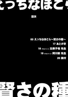 えっちなほこら ~賢さの種~, 日本語