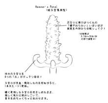 !子宮脱! ～無防備に垂れ出た萌袋～, 日本語