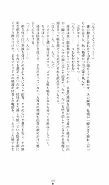 カリスマ狂騒曲 由香ちゃんの買ってもイケない!?, 日本語