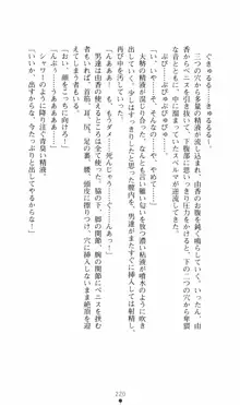 カリスマ狂騒曲 由香ちゃんの買ってもイケない!?, 日本語