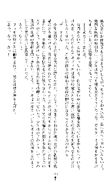 ホワイトプリズンII 仮面の下に暗き熱情は潜む, 日本語