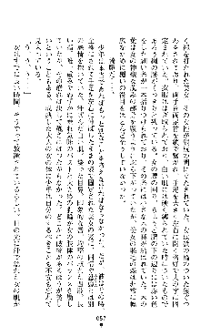 ホワイトプリズンII 仮面の下に暗き熱情は潜む, 日本語