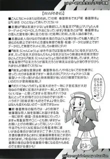 シスターまりあ先生のハチミツ授業, 日本語