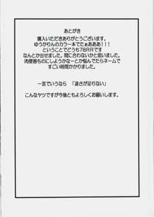 風見幽香の戯れ, 日本語