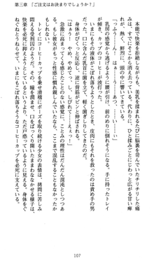 ラッキーモーリーへおいでよ ファミレス娘の恥辱仕立て, 日本語