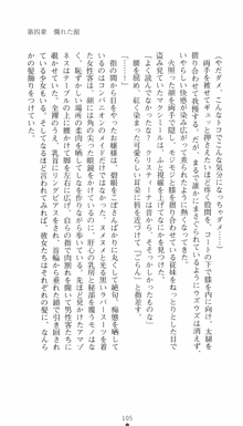 私立探偵クリスクロムウェル 淫謀のラビリンス, 日本語