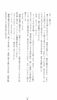 私立探偵クリスクロムウェル 淫謀のラビリンス, 日本語