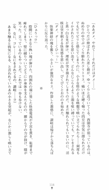 私立探偵クリスクロムウェル 淫謀のラビリンス, 日本語