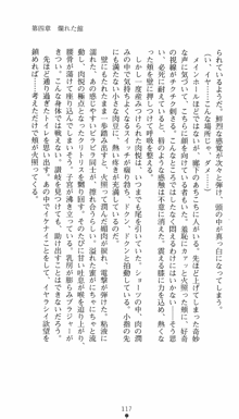 私立探偵クリスクロムウェル 淫謀のラビリンス, 日本語