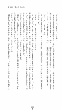 私立探偵クリスクロムウェル 淫謀のラビリンス, 日本語