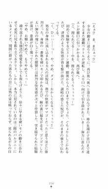 私立探偵クリスクロムウェル 淫謀のラビリンス, 日本語