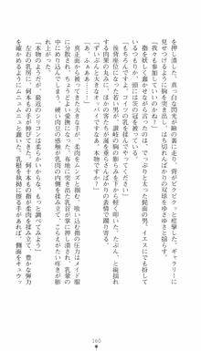 私立探偵クリスクロムウェル 淫謀のラビリンス, 日本語