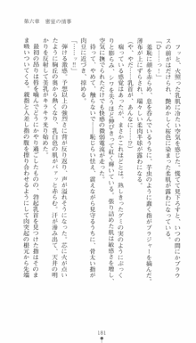 私立探偵クリスクロムウェル 淫謀のラビリンス, 日本語