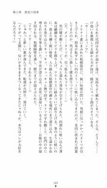 私立探偵クリスクロムウェル 淫謀のラビリンス, 日本語