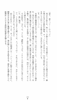 私立探偵クリスクロムウェル 淫謀のラビリンス, 日本語