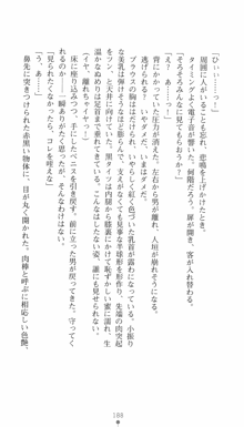 私立探偵クリスクロムウェル 淫謀のラビリンス, 日本語