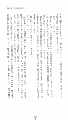 私立探偵クリスクロムウェル 淫謀のラビリンス, 日本語