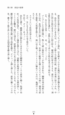 私立探偵クリスクロムウェル 淫謀のラビリンス, 日本語