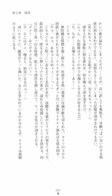 私立探偵クリスクロムウェル 淫謀のラビリンス, 日本語