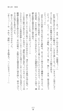 私立探偵クリスクロムウェル 淫謀のラビリンス, 日本語