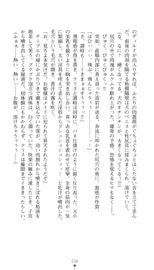 私立探偵クリスクロムウェル 淫謀のラビリンス, 日本語