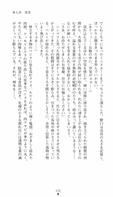 私立探偵クリスクロムウェル 淫謀のラビリンス, 日本語