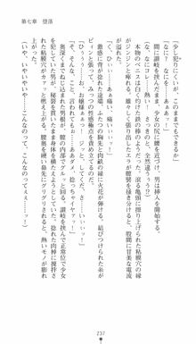 私立探偵クリスクロムウェル 淫謀のラビリンス, 日本語