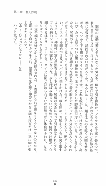 私立探偵クリスクロムウェル 淫謀のラビリンス, 日本語