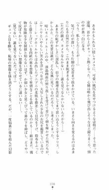 私立探偵クリスクロムウェル 淫謀のラビリンス, 日本語