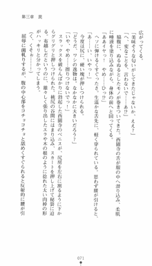 私立探偵クリスクロムウェル 淫謀のラビリンス, 日本語