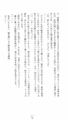 私立探偵クリスクロムウェル 淫謀のラビリンス, 日本語