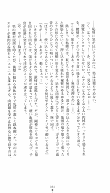 私立探偵クリスクロムウェル 淫謀のラビリンス, 日本語