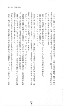 魔人形ハンター琉衣, 日本語