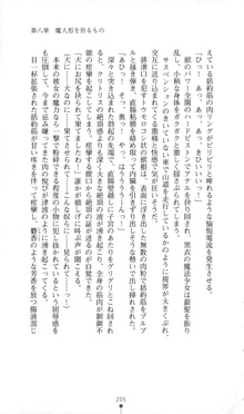 魔人形ハンター琉衣, 日本語