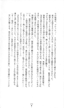 魔人形ハンター琉衣, 日本語