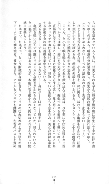 魔人形ハンター琉衣, 日本語