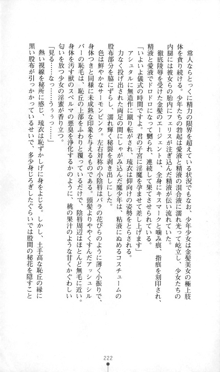 魔人形ハンター琉衣, 日本語