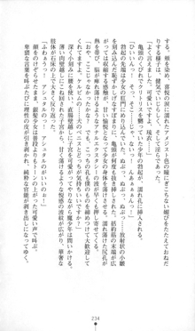 魔人形ハンター琉衣, 日本語