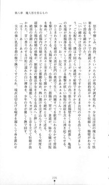 魔人形ハンター琉衣, 日本語