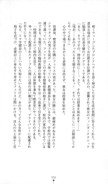 魔人形ハンター琉衣, 日本語