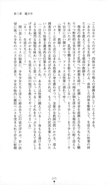 魔人形ハンター琉衣, 日本語